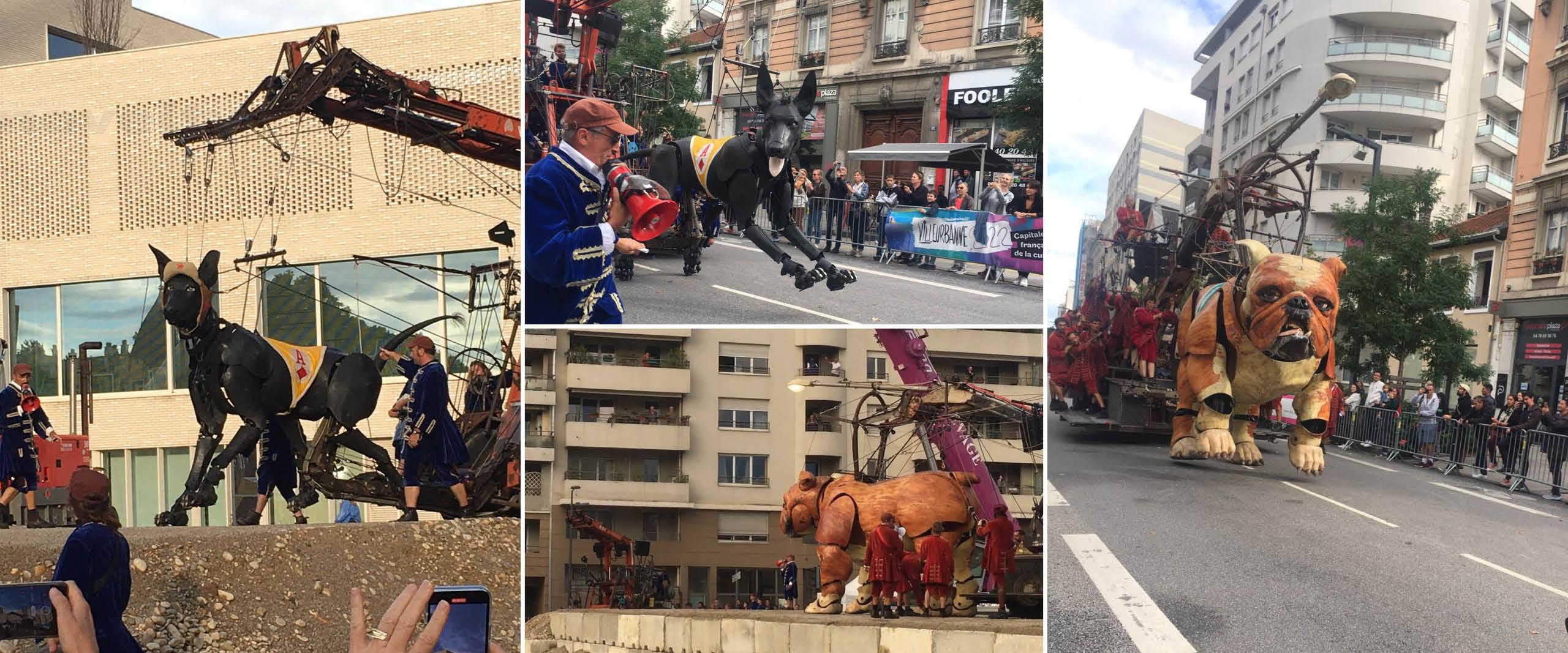 Visuel Novelty AURA pour Royal de Luxe