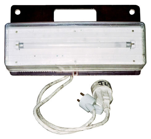 Alternative text - NOVELTY