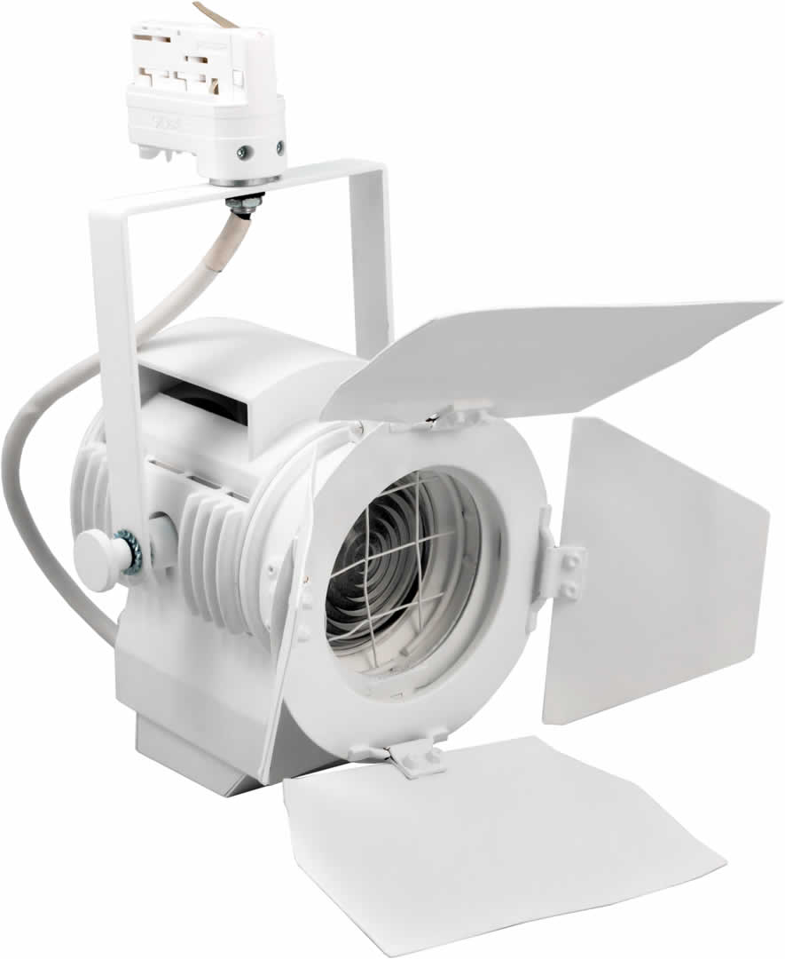 Alternative text - LTM